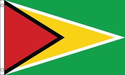 Best VPN for Guyana